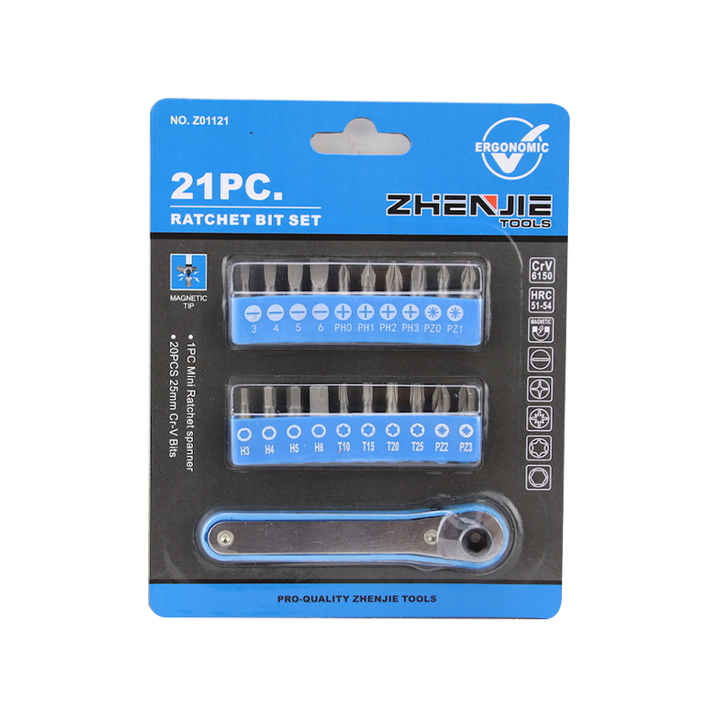 21개 슬롯형 필립스 Pozidriv Hex Torx 래칫 비트 세트
